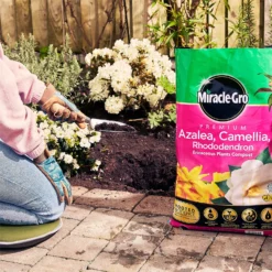 Miracle Gro Premium Azalea, Camellia & Rhododendron Ericaceous Compost - 40L -Sandtex Shop 12882812 1004843671886080
