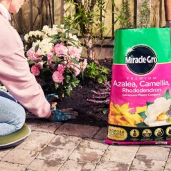 Miracle Gro Premium Azalea, Camellia & Rhododendron Ericaceous Compost - 40L -Sandtex Shop 12882812 1404843671956442