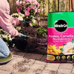 Miracle Gro Premium Azalea, Camellia & Rhododendron Ericaceous Compost - 40L -Sandtex Shop 12882812 1924843671918789