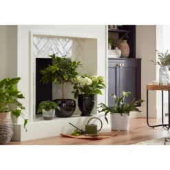 Regent Glazed Urn Planter - 21cm -Sandtex Shop 12885371 1614948242968073