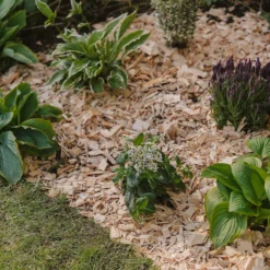 Westland Rustic Wood Chips - 60L 8 Westland Rustic Wood Chips - 60L -Sandtex Shop 13280769 1564929084866478