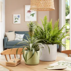 Scheurich Ripple White Indoor Pot - 20cm -Sandtex Shop 13953260 1154987120198644