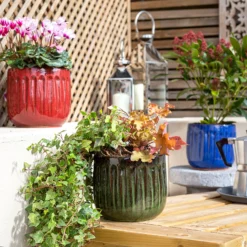 Chiswick Running Pot Blue - 18cm -Sandtex Shop 13973641 5605011238378613