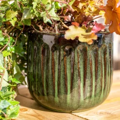 Chiswick Running Pot Green - 24cm -Sandtex Shop 13973645 1285011238620542