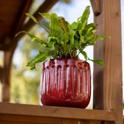 Chiswick Running Pot Red - 18cm -Sandtex Shop 13973651 1775011238634708