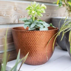 Suva Hammered Pot Copper - 31cm -Sandtex Shop 13973652 1715011805989134