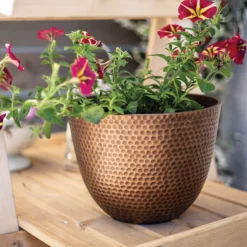 Suva Hammered Pot Bronze - 31cm -Sandtex Shop 13973654 6975011805770104