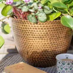 Suva Hammered Pot Bronze - 31cm -Sandtex Shop 13973654 7605011805627355